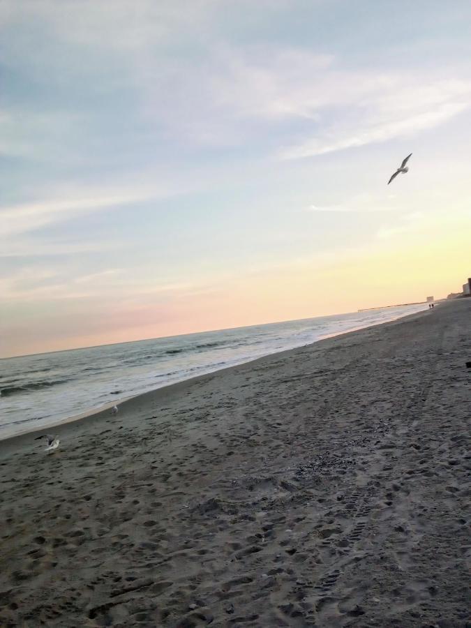 Lee'S Myrtle Beach Condo Экстерьер фото