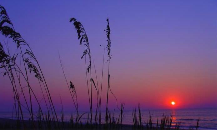 Lee'S Myrtle Beach Condo Экстерьер фото